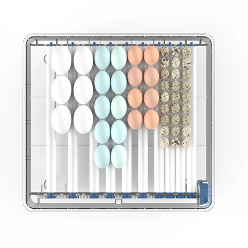 Farm Incubator Hatching Egg Machine 200 Egg Automatic Incubator - Picture 5 of 21