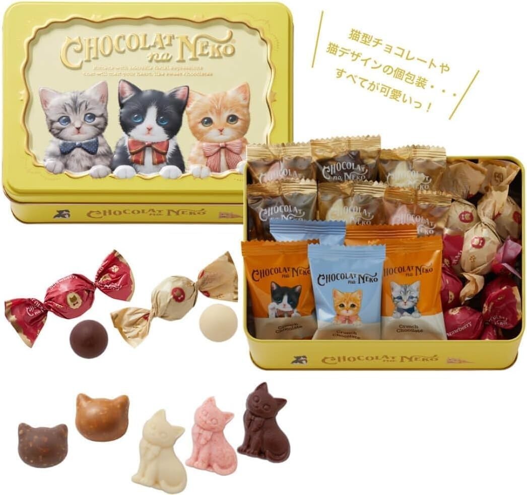 Morozoff Chocolat Cat Popular Chocolate 17 pieces from Japan 13771