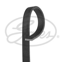 Gates 8DPK1445 V-Rippenriemen FüR Land Rover