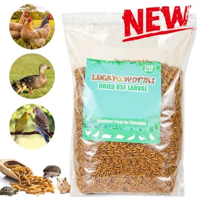 LUCKYQWORMS 11 LBS Dried Black Soldier Fly Larvae Mealworms for Chicken Birds Treats Non-GMO