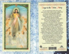 Prayer to the Divine Mercy - Laminated Holy Card HC9-549E