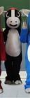 Bild 11 von 12