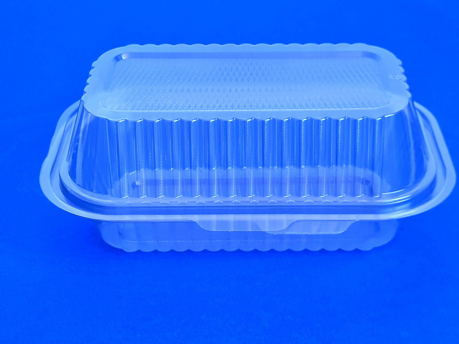 Salat-Klapp-Box/ Sushi Box Wählbar 650 ml bis 1.000 ml mit anhängendem Deckel