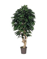 artplants Kunst Mango Corinda, Echtstamm, GrüN, Crossdoor, 175Cm