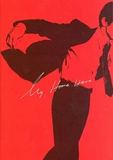 Booklet Tour Book Japanese movie Movie My Home Hero