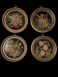 Set of 4 Framed Pressed Flower Art/Wall Decor