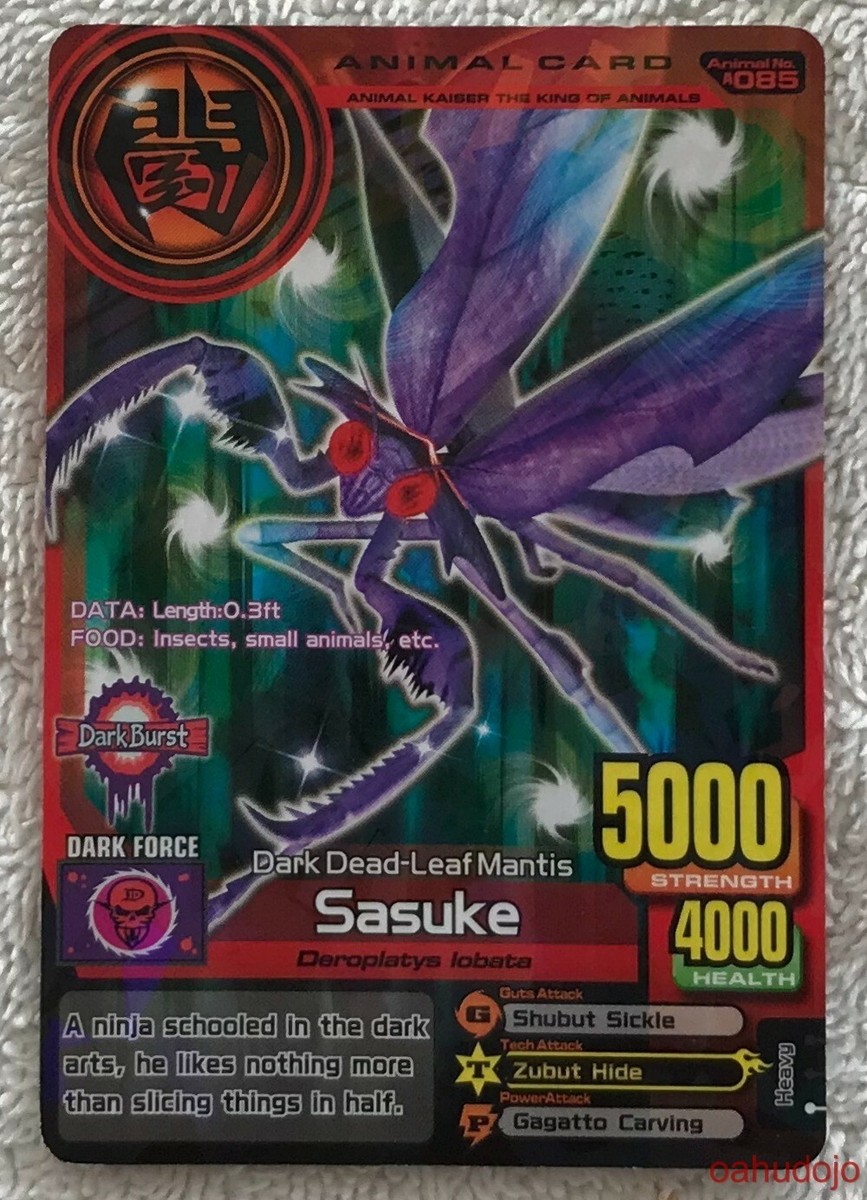 希少 PSA10 旧裏 ニャース #16 ブルバサウルスデッキ PSA10 ニャース P