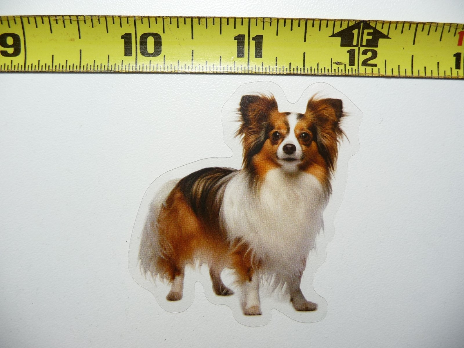 Colorful Cute Papillon Dog Sticker Decal for Pet Lovers