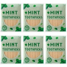 Nuenen 600 Pcs Mint Flavor Toothpicks Bulk Natural Wood Cinnamon