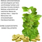 Bild 5 von 6