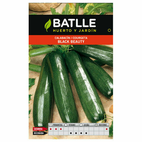 125 x Seeds COURGETTE - PROFESSIONAL Zucchini Yellow. NO GMO. 500