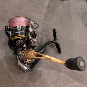 Daiwa Morethan | eBay