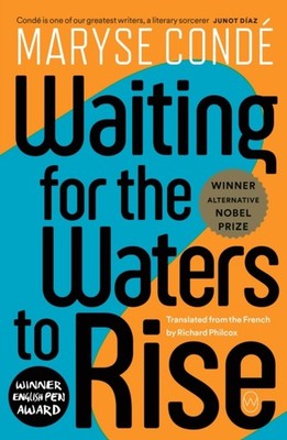 WAITING FOR THE WATERS TO RISE by Maryse Conde Paperback Self Help Business