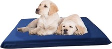 Memory Foam Pet Bed for Small Medium to Large Dog and Waterproof Case 34"X27"X3"