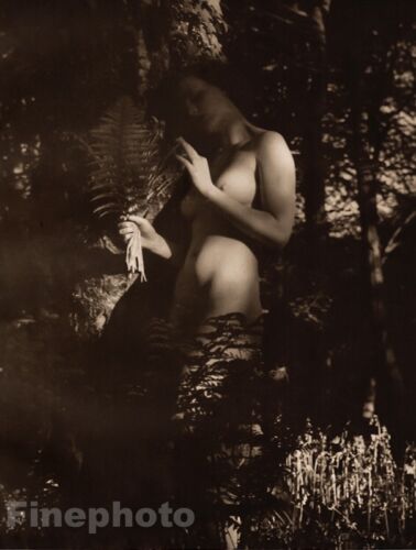 1940 Original JOHN EVERARD Mujer Desnudo Mujer Árboles del Bosque Inglaterra Foto Art Deco - Imagen 1 de 1