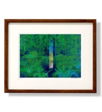 Hiroo Isono Art  The Spirit Forest  320x260ｍｍ w/frame Print ed.300 Autographed