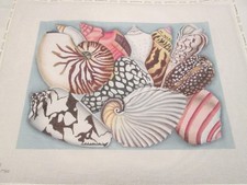 SHELLS-MELISSA SHIRLEY-HANDPAINTED NEEDLEPOIN...