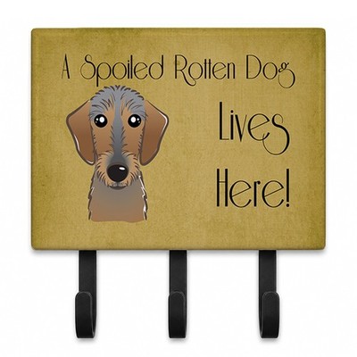 Carolines Treasures Wirehaired Dachshund Spoiled Dog Lives Here Leash Key Holder