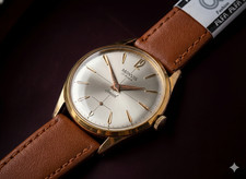 Monvis Special 17jewels Swiss Made gentlemen Vintage Watch serviced run well