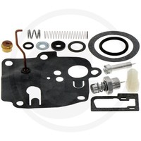 Briggs U. Stratton VERGASER-REP.-KIT | 494623 | 024847846638