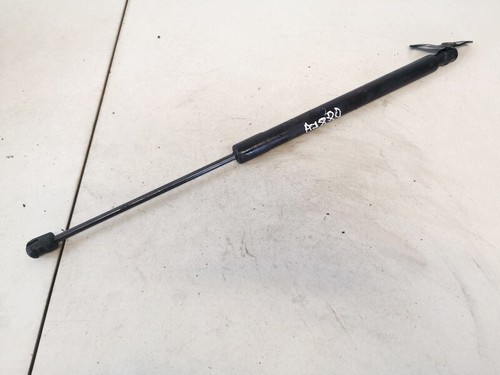 Volkswagen Tiguan 2008 Trunk Luggage Shock Lift Cylinder, Gas Pres #1554579-61