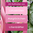 Bild 6 von 11