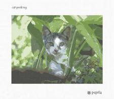 Cat Peeking Needlepoint Kit or Canvas