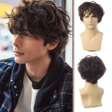 6in Men's Brown Leslie Curly Short Wig Heat Resistant Synthetic Cosplay Party