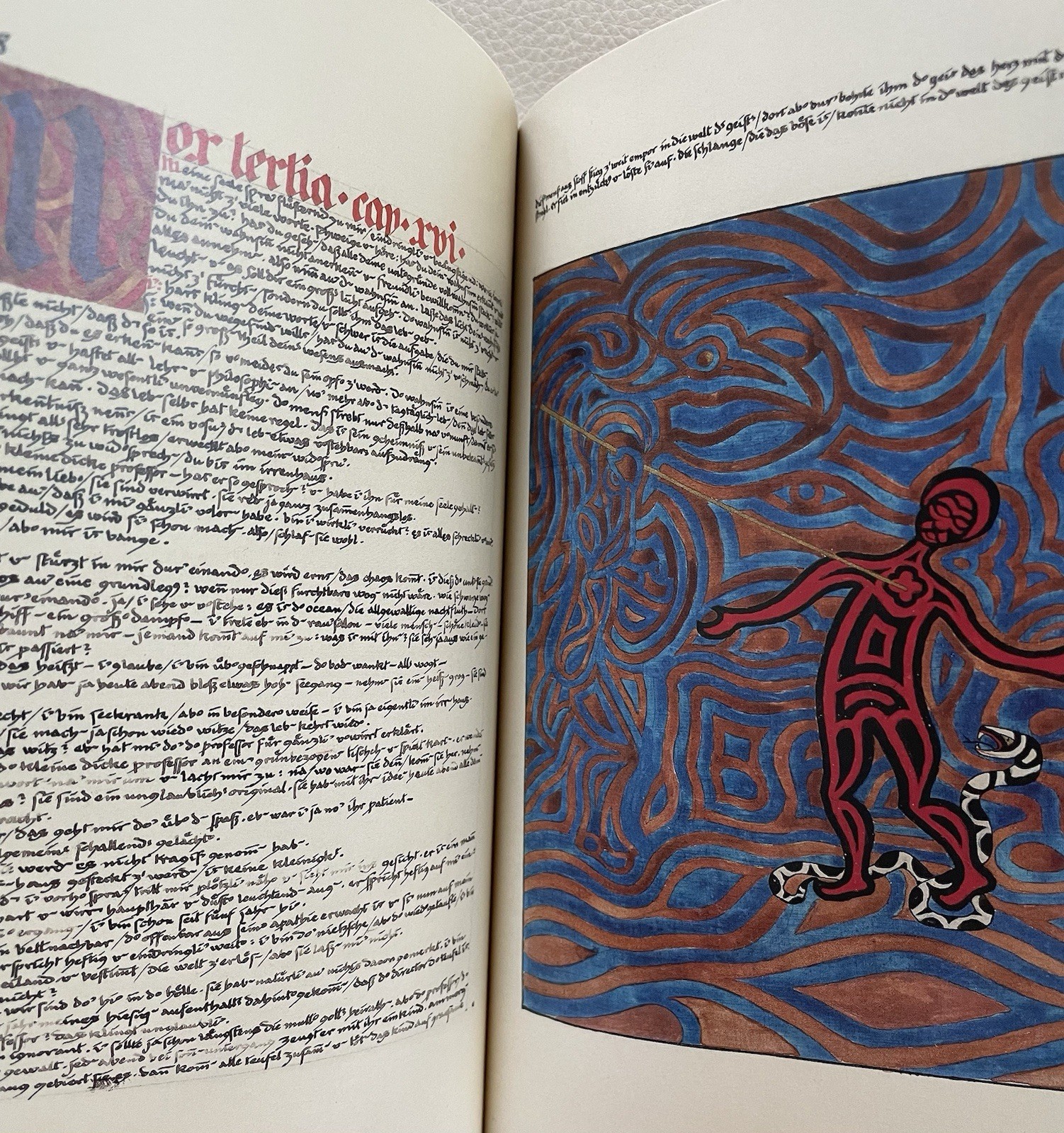 CG Jung THE RED BOOK [Illustrated Edition] Liber Novus Plates Rare ...
