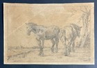 Paulus POTTER "Les deux chevaux de trait" Phototypie, photogravure XIX ou XXème