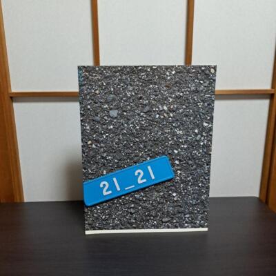21_21 DESIGN SIGHT BOOK Vol 1: Issey Miyake Design Cultural