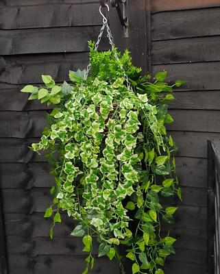 Artificial Trailing Hanging Basket Plants Grass Garden Leaf Rose Ivy Leaf  Fern | eBay