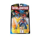 Hasbro Batman DC Universe Action Figures & Accessories