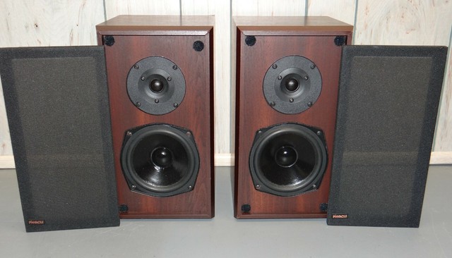 vintage pinnacle speakers