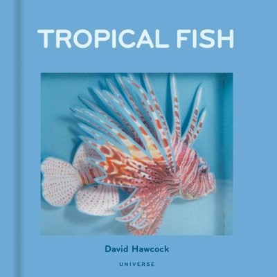 Tropical Fish: Pop-Up | Hawcock, David | Buch