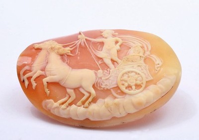 Victorian Sty Lg Cameo Shell Carved Relief Greek God Apollo Portrait Plaque