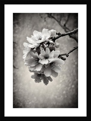 Moody Cherry Blossom Branch Framed Wall Art Poster Canvas Print Picture