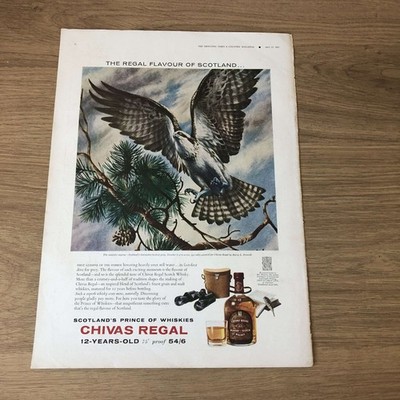 GUNS07 MAGAZINWERBUNG 12X9 CHIVAS REGAL: NO.6 MAJESTIC OSPREY