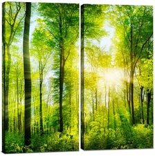 Forest Canvas Wall Art Decor - 24x24 Tree Landscape Picture - 2 Piece Set, De...