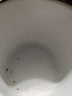 Antique Vintage  White Black Enamel Ware Coffee Cup Chipped Rusted  — photo 10