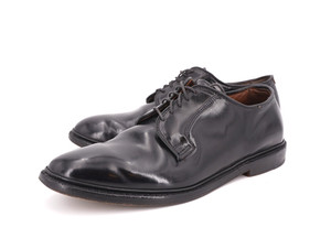 Allen Edmonds Leeds Shell Cordovan | eBay