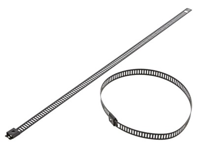 10X LC74-250 Kabelbinder L: 250mm W: 7mm AISI 304 Edelstahl 445N Ømax: 66mm RAYC