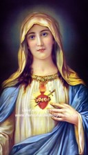 Hail Mary LAMINATED Prayer Card, 5-pack, with Two Free Bonus Cards Included