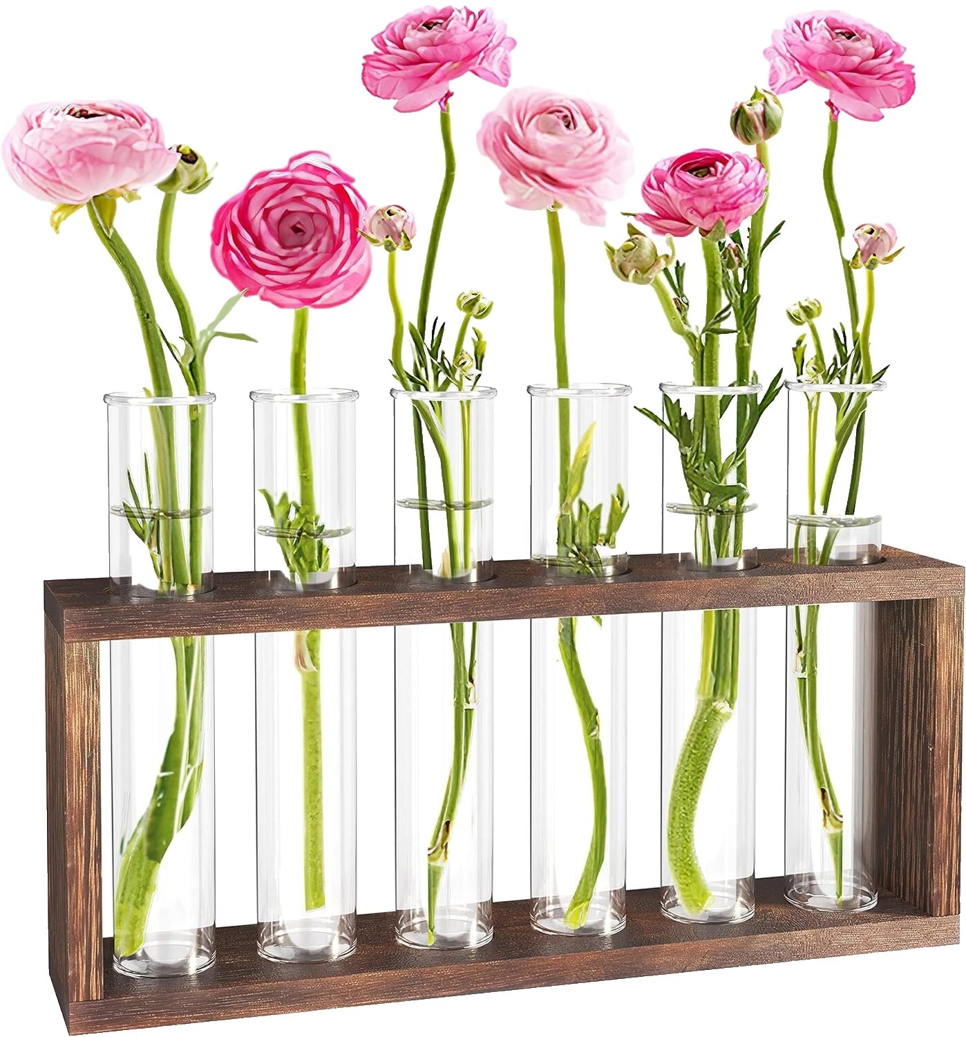 Jarrones de Terrario