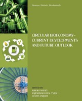 Ashok Pandey (U. A.) | Biomass, Biofuels, Biochemicals | Taschenbuch | Englisch