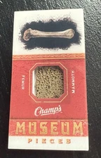2009-10 Upper Deck UD Champ's Champs Museum Pieces Mini Mammoth Femur