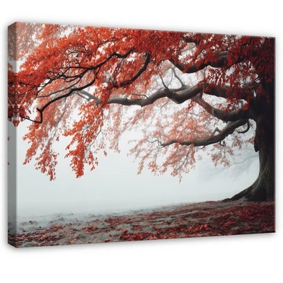 Leinwand Baum Rot Natur Weiß Wandbilder Groß Leinwandbild Wanddeko 124 - Bild 1 von 4