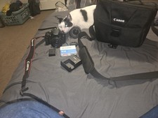 Canon EOS Rebel T7 Digital SLR 18MP 3x Zoom Black Bundle w/ Bag
