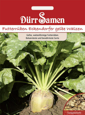 4 Packungen Saatgut Futterrben Eckendorfer gelbe Walzen Rbensamen Samen  Kohl | eBay