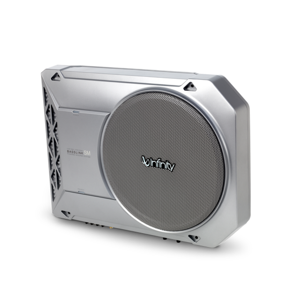 infinity bass tube price